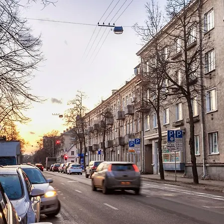 Cozy Naugarduko Close To Old Town