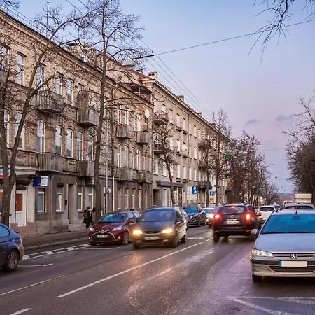 Cozy Naugarduko Close To Old Town Apartment Vilnius