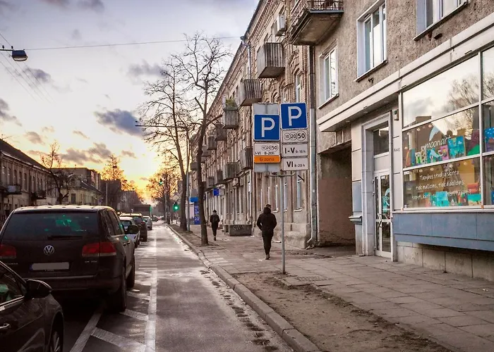 Apartment Cozy Naugarduko Close To Old Town *