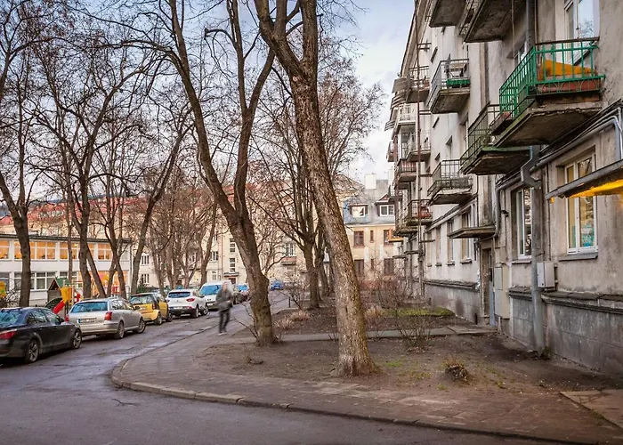 Cozy Naugarduko Close To Old Town