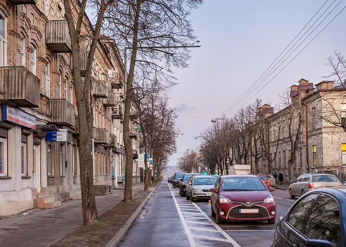 Apartament Cozy Naugarduko Close To Old Town *