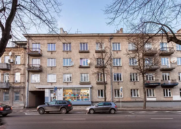 Cozy Naugarduko Close To Old Town Apartament *