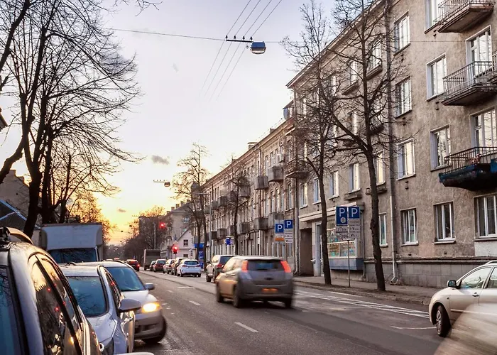 Cozy Naugarduko Close To Old Town